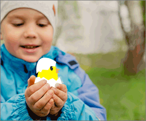 Special advertising offer